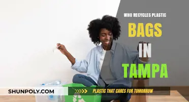 Tampa's Plastic Bag Recycling: Who's Leading the Eco-Friendly Charge?
