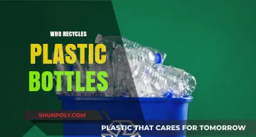 Who Recycles Plastic Bottles? Unveiling the Process and Key Players