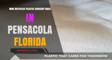 Pensacola's Plastic Bag Recycling: Where to Recycle Grocery Bags Locally
