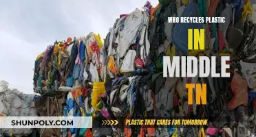 Middle Tennessee's Top Plastic Recyclers: Who Are They?