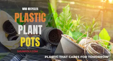 Plastic Plant Pot Recycling: Who's Responsible?