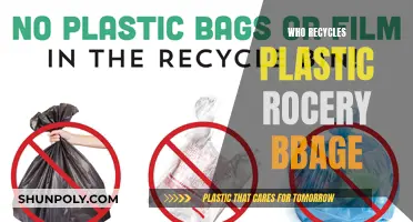 Plastic Grocery Bag Recycling: Who's Responsible?