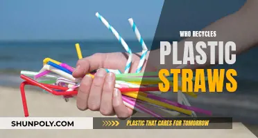 Recycling Plastic Straws: Who's Responsible?