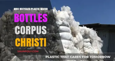 Corpus Christi's Plastic Bottle Recycling: Who's Leading the Charge?