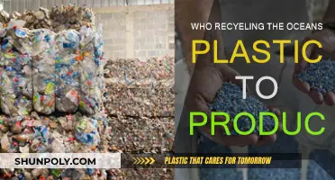 Ocean Plastic: Recycled and Reused