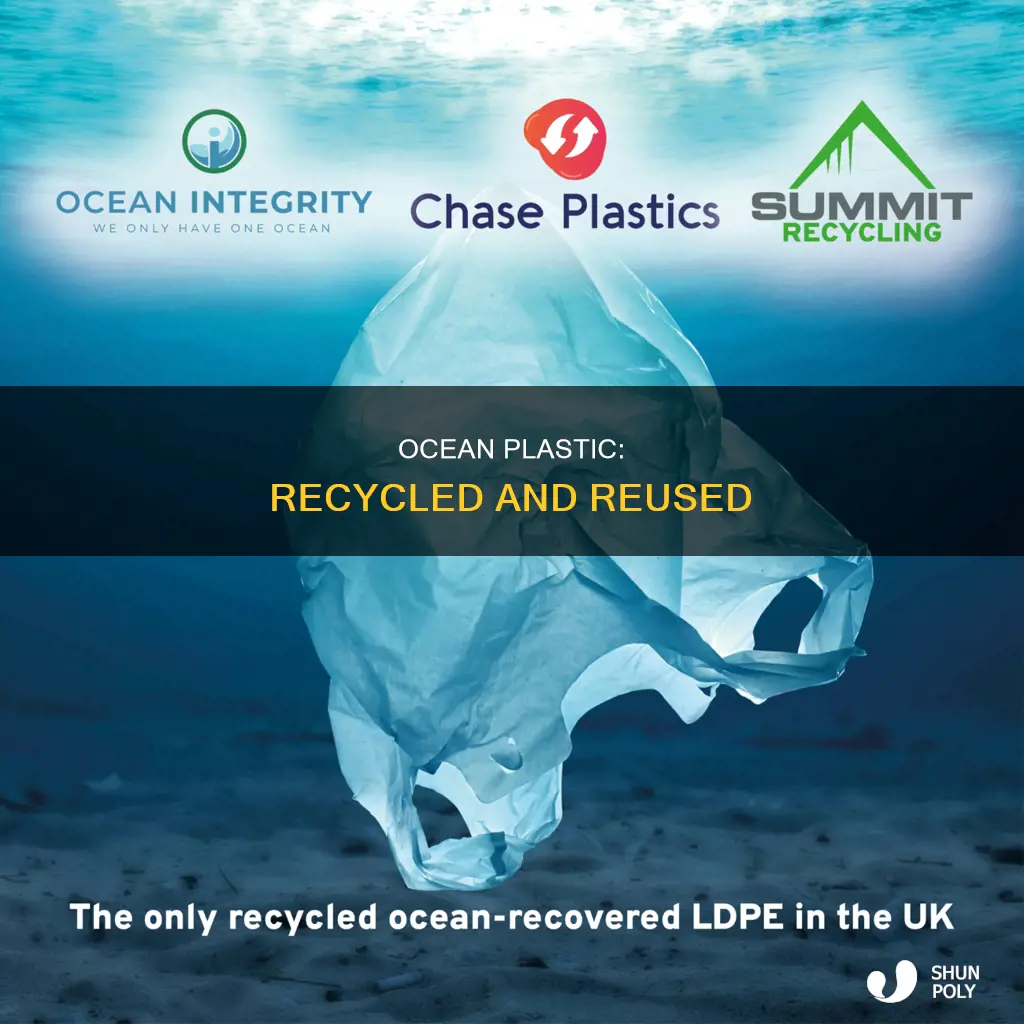 who recyeling the oceans plastic to produce