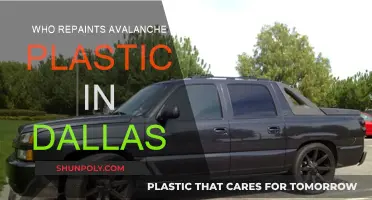 Avalanche Plastic Repainting Services in Dallas