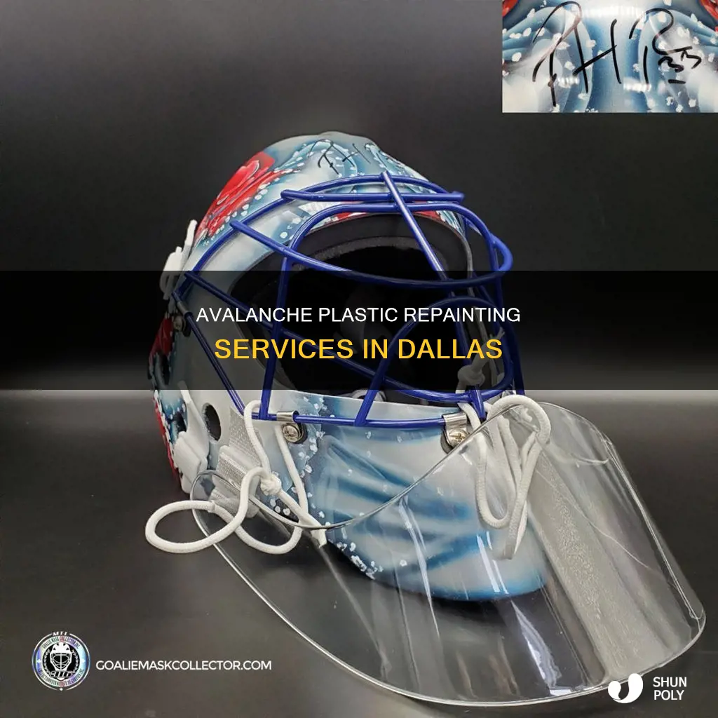 who repaints avalanche plastic in dallas