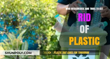 Innovators Battling Plastic Pollution: Research and Solutions for a Greener Future