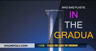 The Graduate's Iconic Line: "Plastic