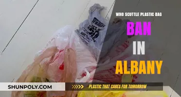 How Corporate Interests Scuttled Albany's Plastic Bag Ban Efforts