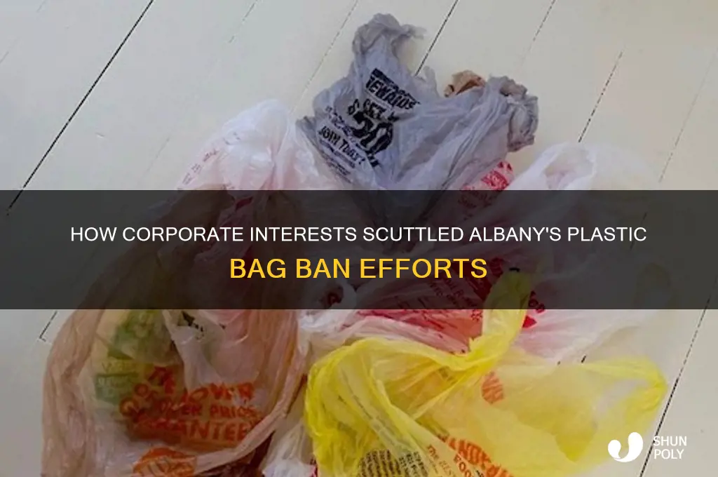 who scuttle plastic bag ban in albany