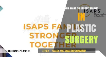 Global Plastic Surgery Market Leaders: Who Dominates the Industry?