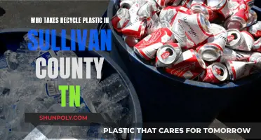 Recycling in Sullivan County, TN: Who Takes Plastic?