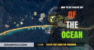 Innovative Solutions to Remove Plastic Pollution from Our Oceans