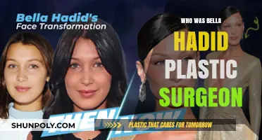 Bella Hadid's Plastic Surgeon: Unveiling the Truth Behind Her Transformation