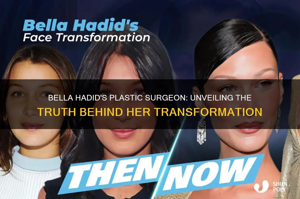 who was bella hadid plastic surgeon