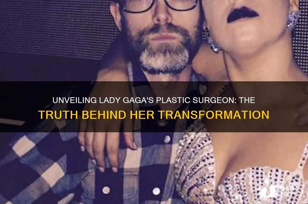 who was lady gaga plastic surgeon