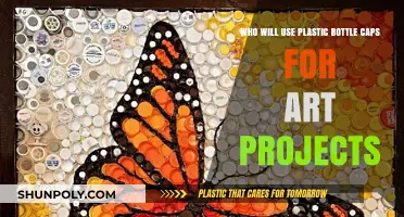Creative Reuse: Who's Turning Plastic Bottle Caps into Art?