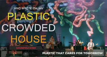Crowded House's "Italian Plastic": Who Wrote It?
