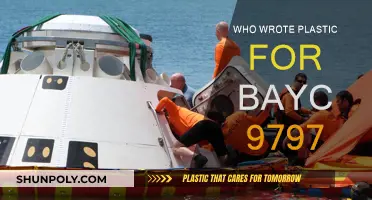 Unveiling the Creator of Plastic for BAYC 9797