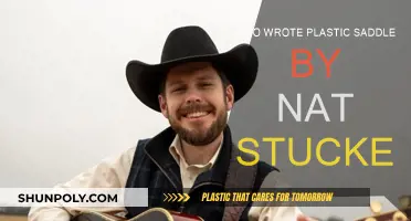 Who Really Wrote "Plastic Saddle"?