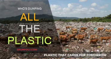 Plastic Polluters: Who's Responsible for the Dumping?