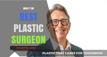 Top Plastic Surgeons: Expertise, Reputation, and Patient Satisfaction Compared