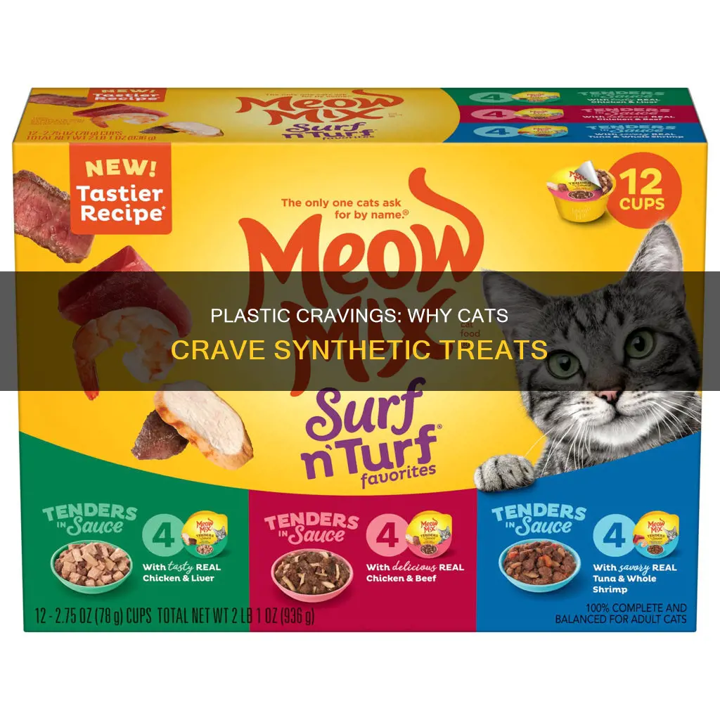 why a cat would crave plastic