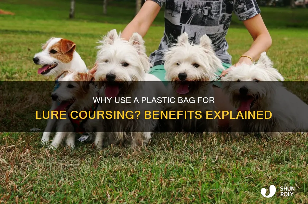 why a plastic bag for lure coursing