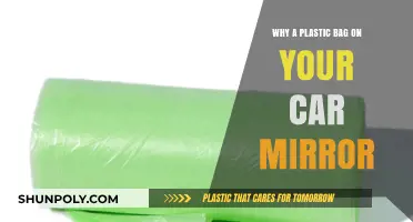 Plastic Bag on Car Mirror: Practical Trick or Urban Myth?