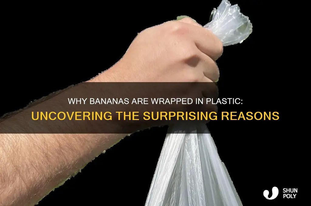 why are bananas in plastic bags