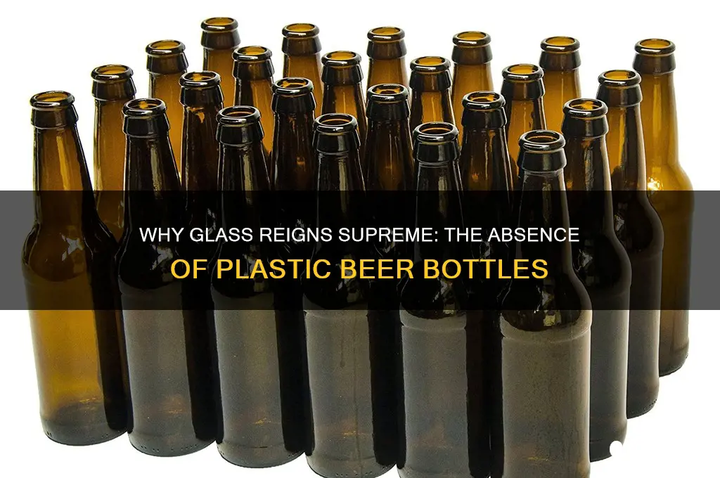 why are beers not in plastic bottle
