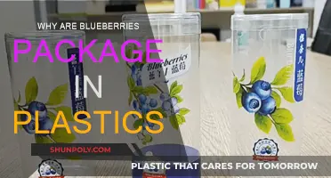 Blueberries in Plastic: Sustainable or Senseless?