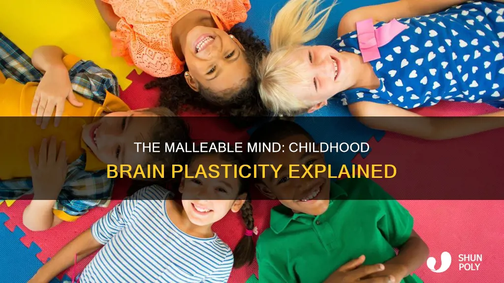 why are brains more plastic as children