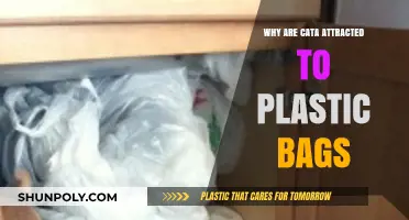 Why Cats Love Plastic Bags: Unraveling the Fascination