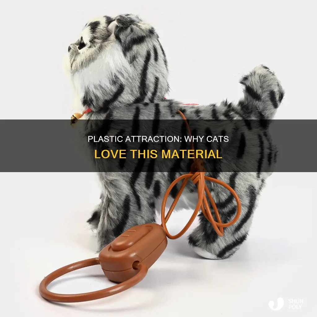 why are cats attracted to plastic