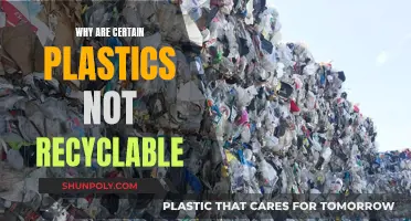 Understanding the Complexities of Non-Recyclable Plastics