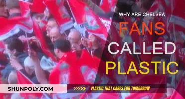 Plastic Fans: Chelsea Supporters' Label Explained