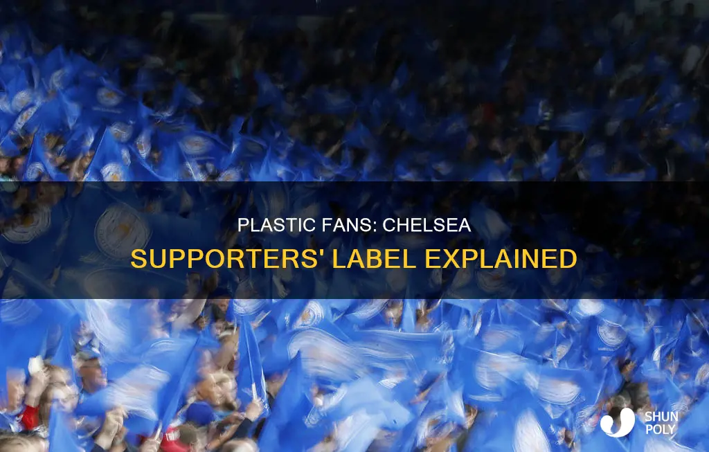 why are chelsea fans called plastics