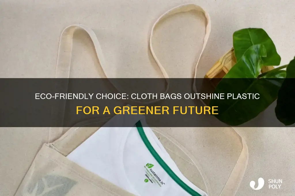 why are cloth bags better than plastic