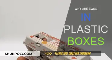 The Switch to Plastic Egg Cartons: Why?