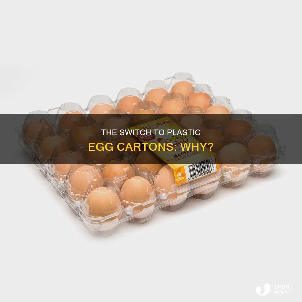 why are eggs in plastic boxes
