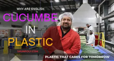 English Cucumbers: Plastic-Wrapped Freshness