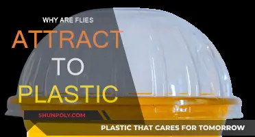 Plastic's Fly-Attracting Qualities: Unraveling the Mystery