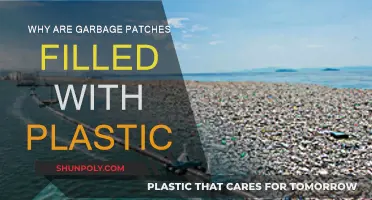 Plastic Pollution: The Garbage Patches' Plastic Problem