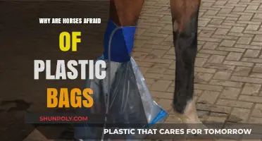 Why Horses Fear Plastic Bags: Unraveling the Unexpected Anxiety