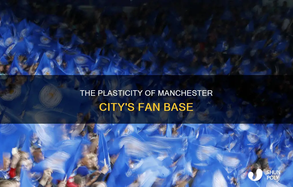 why are man city fans called plastic