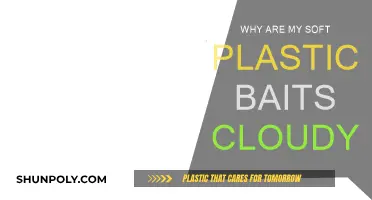 Soft Plastic Baits: Cloudy, Why?