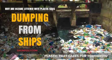 Ships' Plastic Bag Dumping: The Hidden Cause of Ocean Pollution
